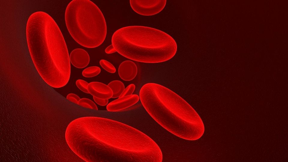 What You Need To Know About Anemia