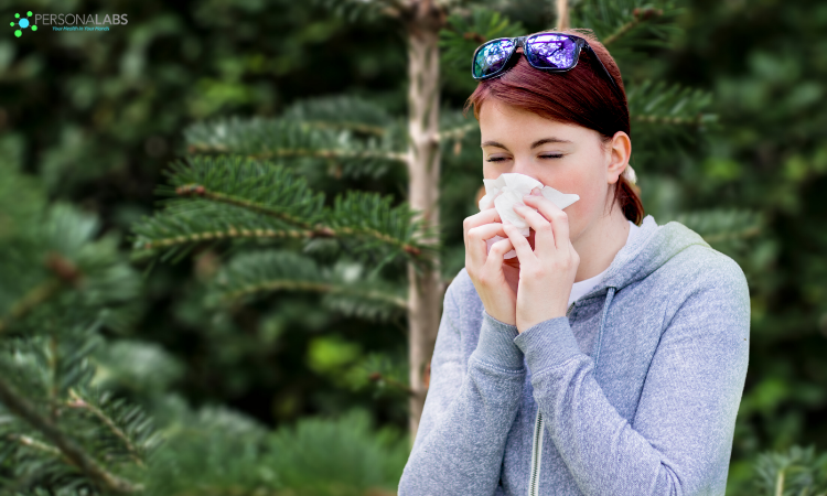 Christmas Tree Allergies