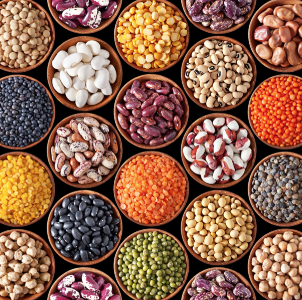 picture of different legumes