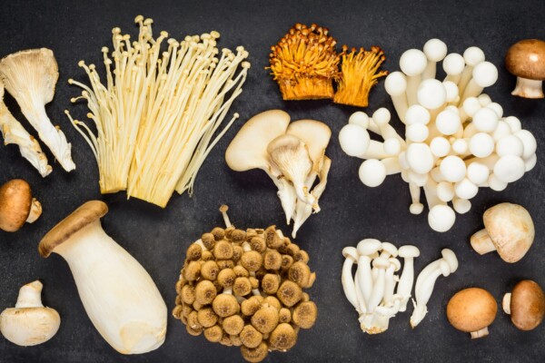 Different types of mushrooms and their health advantages