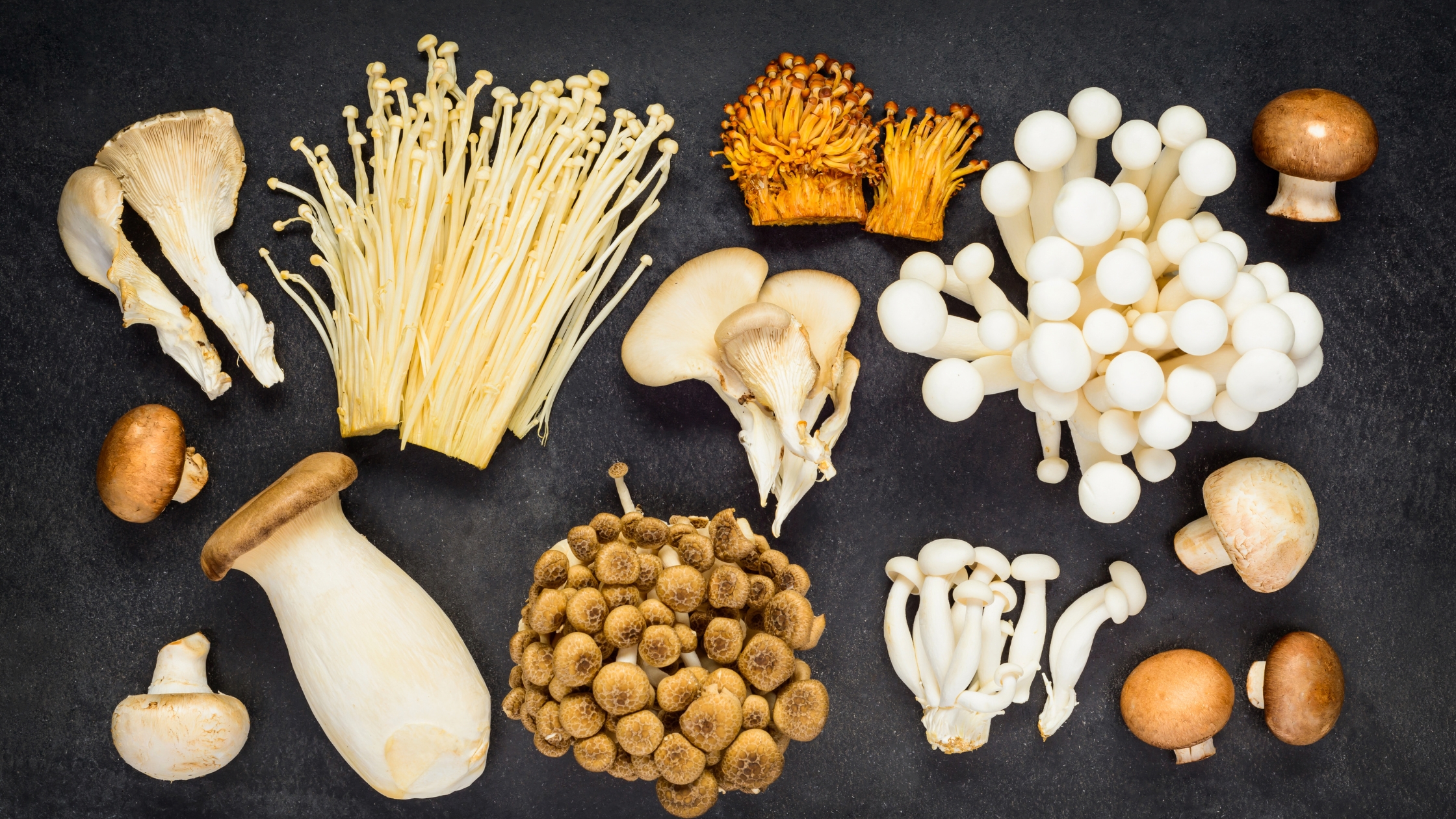 Different types of mushrooms and their health advantages